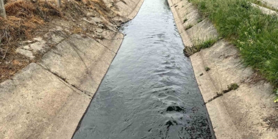 Aydın’da Atık Sular Tarımı ve Çevreyi Tehdit Ediyor