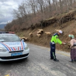 Kuyucak jandarmasından ’şekerli’ bayram denetimi