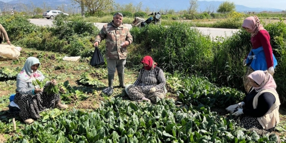 Tarlaya yemek götürme geleneği bitti, tost servisi başladı