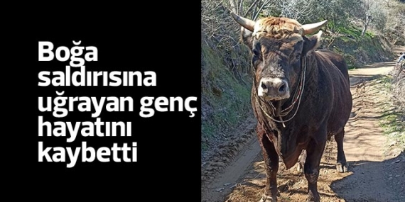 Boğa saldırısına uğrayan genç hayatını kaybetti