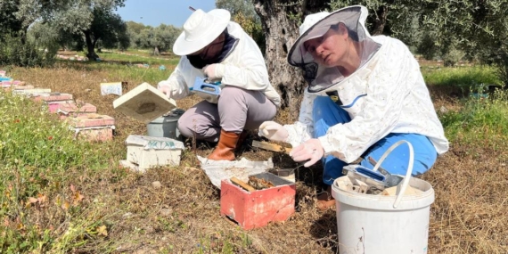 Gelin – görümce üretimde söz sahibi