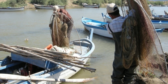 7 bin kilometrelik yolculuğunu Aydın’da tamamlayan yılan balığının geleceği görüşüldü