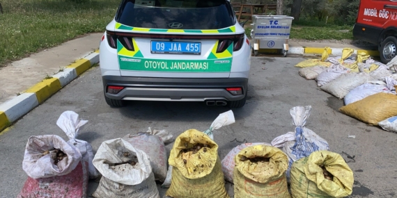 Jandarma 1 ton 800 kilogram salyangoz ele geçirdi