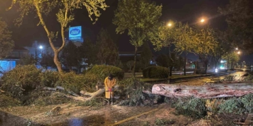 Aydın Büyükşehir Belediyesi’nden şiddetli yağış ve fırtınaya karşı hızlı müdahale 47 Aydın Büyükşehir Belediyesi’nden şiddetli yağış ve fırtınaya karşı hızlı müdahale