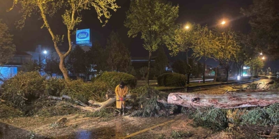 Aydın Büyükşehir Belediyesi’nden şiddetli yağış ve fırtınaya karşı hızlı müdahale