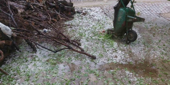 Aydın’da dolu sürprizi