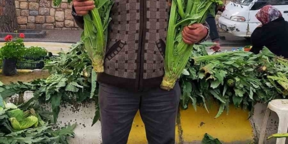 Aydın’da enginar sezonu açıldı, tezgahlar yeşille büründü