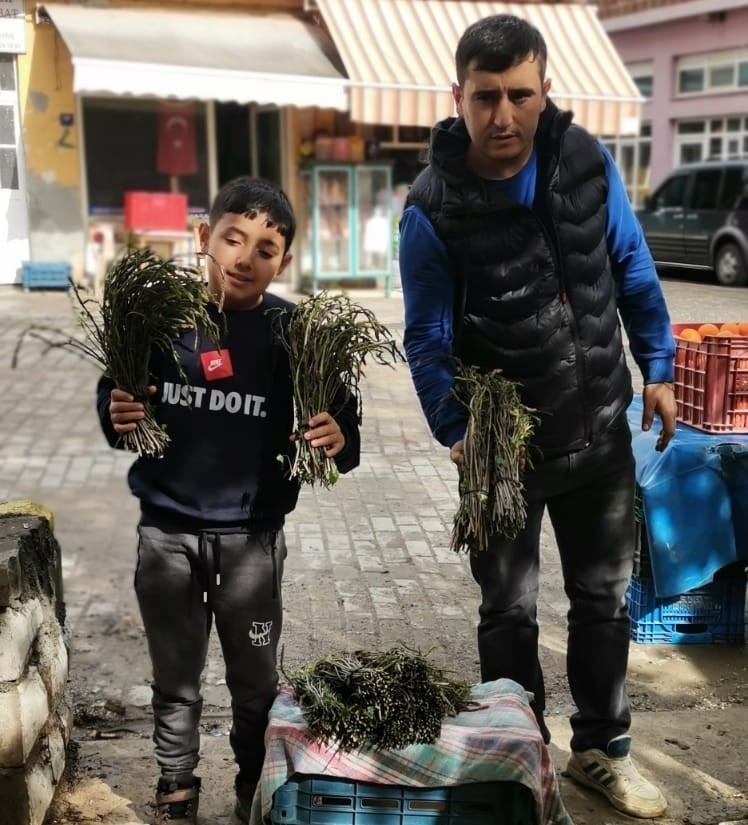 Aydın’da kendiliğinden yetişen bu otlar garibanın cüzdanını zenginin sofralarını süslüyor 7 aydinda kendiliginden yetisen bu otlar garibanin cuzdanini zenginin sofralarini susluyor 0696c7caf337