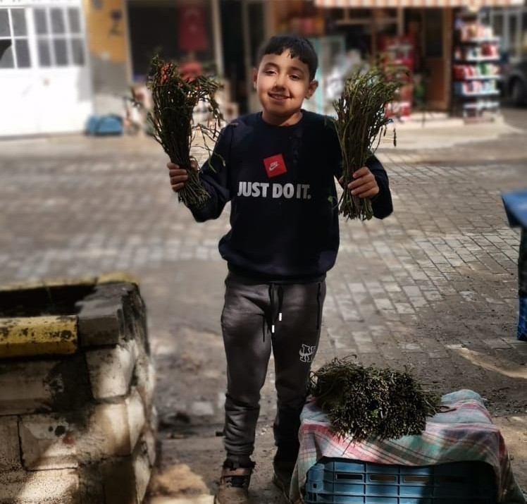 Aydın’da kendiliğinden yetişen bu otlar garibanın cüzdanını zenginin sofralarını süslüyor 5 aydinda kendiliginden yetisen bu otlar garibanin cuzdanini zenginin sofralarini susluyor fe365741c7b2