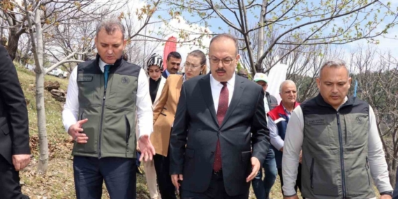 Aydın’da Kestane zararlısına karşı biyolojik mücadele