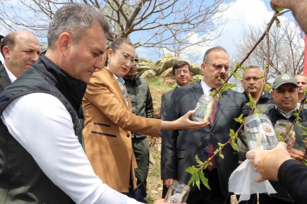 aydinda kestane zararlisina karsi biyolojik mucadele f562b7beff61