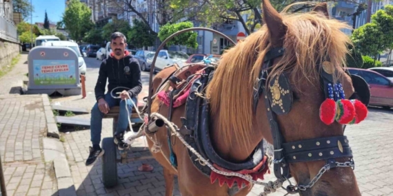Aydın’ın son at arabacısı, evinin ve 5 çocuğunun iaşesini atıyla karşılıyor