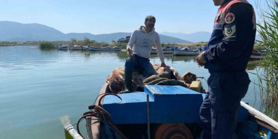 Bafa Gölü’nde doğal hayat jandarmanın takibinde