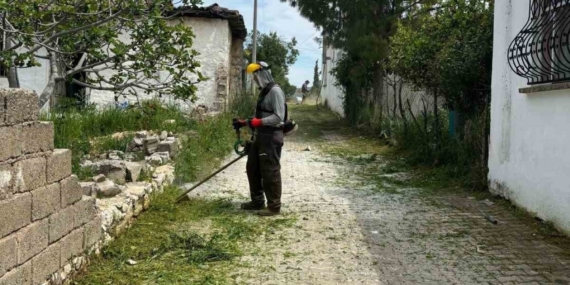 Belediye ekipleri Akköy’de otlara geçit vermiyor