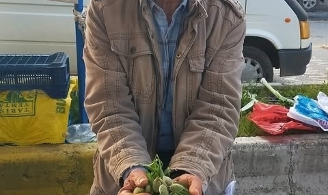 Çağla, Aydın’daki tezgahlarda yerini aldı: Kilosu 250 lira