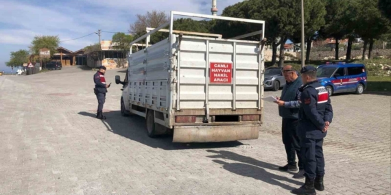 Canlı hayvan taşıyan araçlar denetlendi