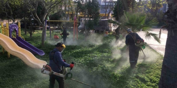 Didim Belediyesi yeşil alanlarda bakım çalışmalarını sürdürüyor