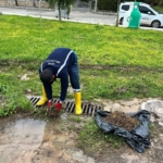 Didim’de mazgallar temizlendi 5 Didim’de mazgallar temizlendi