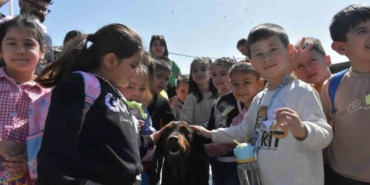 Didim’de minik öğrenciler patili dostlarla bir araya geldi 4 Didim’de minik öğrenciler patili dostlarla bir araya geldi