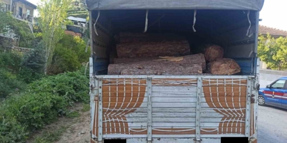 Efeler’de kaçak orman ürünü ele geçirildi
