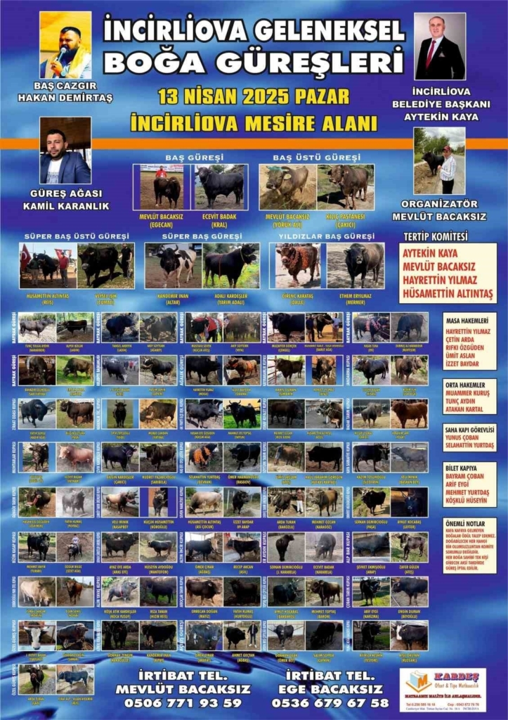 İncirliova’da Boğa Güreşleri heyecanı başlıyor 2 incirliovada boga guresleri heyecani basliyor 11fa58214f67