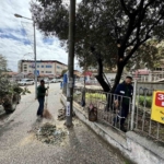 Karacasu Belediyesi ilçe genelindeki çalışmalarını sürdürüyor 5 Karacasu Belediyesi ilçe genelindeki çalışmalarını sürdürüyor