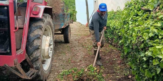 Karacasu Belediyesi’nden Kahvederesi Yaylası’nda temizlik mesaisi