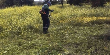 Karacasu Belediyesi’nden mezarlıklarda temizlik seferberliği 6 Karacasu Belediyesi’nden mezarlıklarda temizlik seferberliği