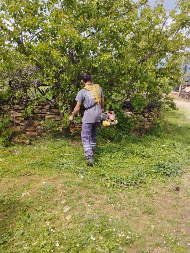 karacasu belediyesinden yesil alanlarda yogun mesai 488455dc207d