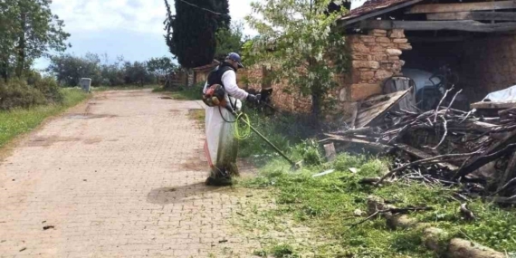 Karacasu Belediyesi’nden yeşil alanlarda yoğun mesai