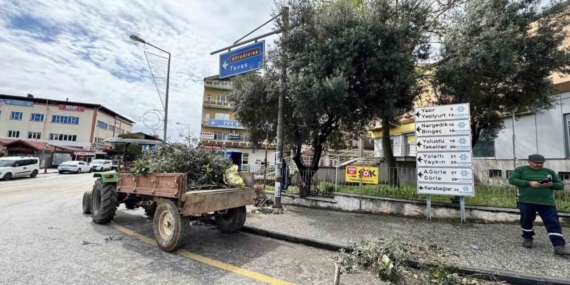 Karacasu’da çevre düzenlemesi devam ediyor