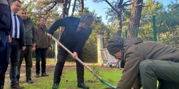 Kaymakam Keklik’ten sakız ağacı fidanlarına bahar bakımı