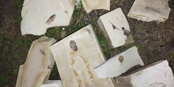 Kuşadası’nda 15 milyon yıllık yaprak fosili bulundu