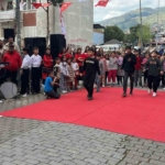 Romanlar günü renkli kutlandı 5 Romanlar günü renkli kutlandı