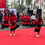 Romanlar günü renkli kutlandı 9 Romanlar günü renkli kutlandı