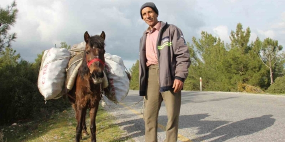 Zeki Amca’nın en büyük yardımcısı küheylanı
