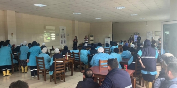 Zeytin fabrikasında çalışan kadınlara ‘En iyi narkotik polisi anne’ eğitimi