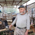 Ahmet Dede, gençliğini toprağa ve çiftçiliğe borçlu 5 Ahmet Dede, gençliğini toprağa ve çiftçiliğe borçlu