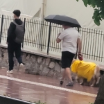 Aydın güne yağmurla uyandı 1 Aydın güne yağmurla uyandı