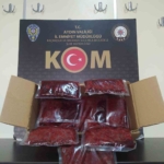 Aydın’da KOM ekipleri kaçakçılığa geçit vermedi: 8 şüpheli yakalandı 1 Aydın’da KOM ekipleri kaçakçılığa geçit vermedi: 8 şüpheli yakalandı
