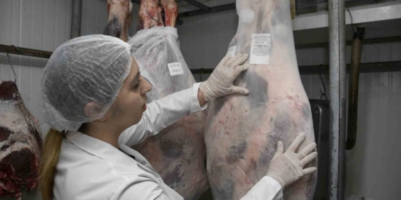 Aydın’da kurban kesim ücretleri belli oldu