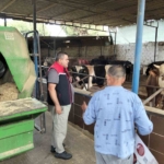 Aydın’da kurban satış ve kesim yerleri denetlendi 7 Aydın’da kurban satış ve kesim yerleri denetlendi
