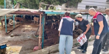 Aydın’da kurban satış ve kesim yerleri denetlendi