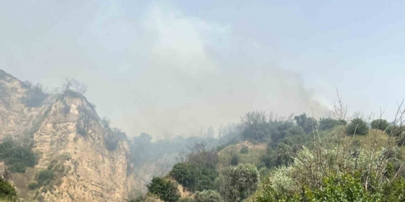 Aydın’da zirai alan yangını