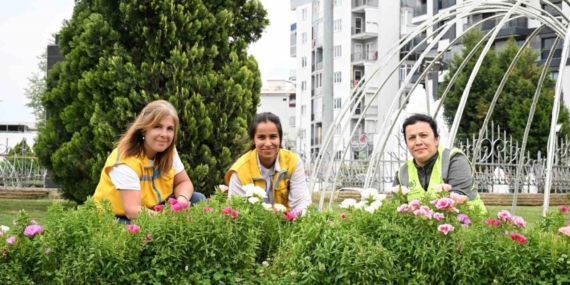 Başkan Çerçioğlu Efeler’i bahar çiçekleri ile süsledi