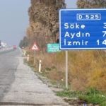 Başkan Sürücü: "Çok nadir ve önemli bir türü daha kaybettik" 5 Başkan Sürücü: "Çok nadir ve önemli bir türü daha kaybettik"