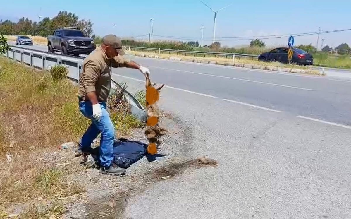 Başkan Sürücü: “Çok nadir ve önemli bir türü daha kaybettik”