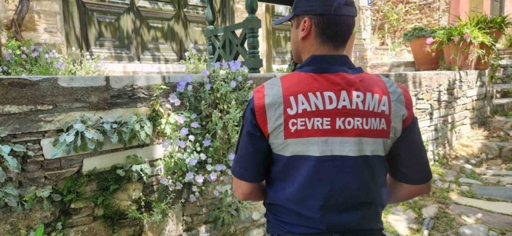 bu cicegi koparmanin cezasi 557 bin tl 728e939e02c8