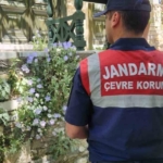 Bu çiçeği koparmanın cezası 557 bin TL 5 Bu çiçeği koparmanın cezası 557 bin TL