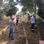 Didim Belediyesi’nden ’kuru ot’ seferberliği 7 Didim Belediyesi’nden ’kuru ot’ seferberliği